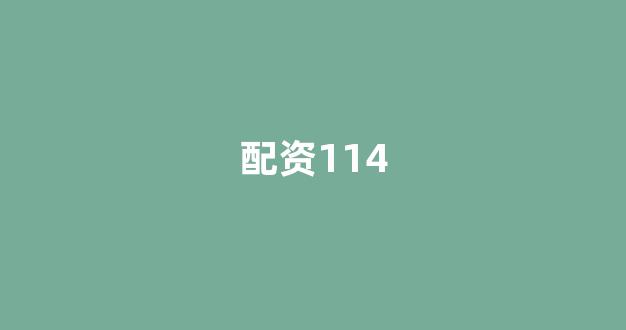 配资行业查询